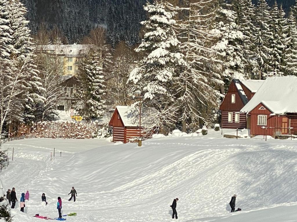 Spirit Harrachov Superior Wellness Apartments - Free Wellness, Wifi, Parking, Harrachov Card Exteriör bild